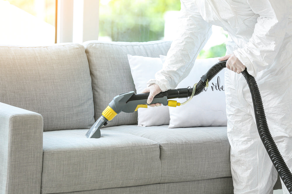Aqua style professional sofa preparation before protective treatment