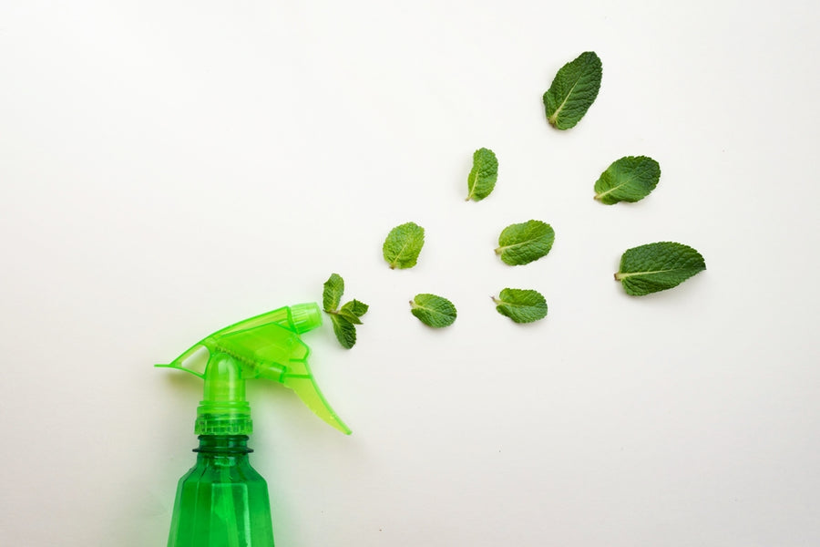 Professional spray application concept for furniture nanocoating